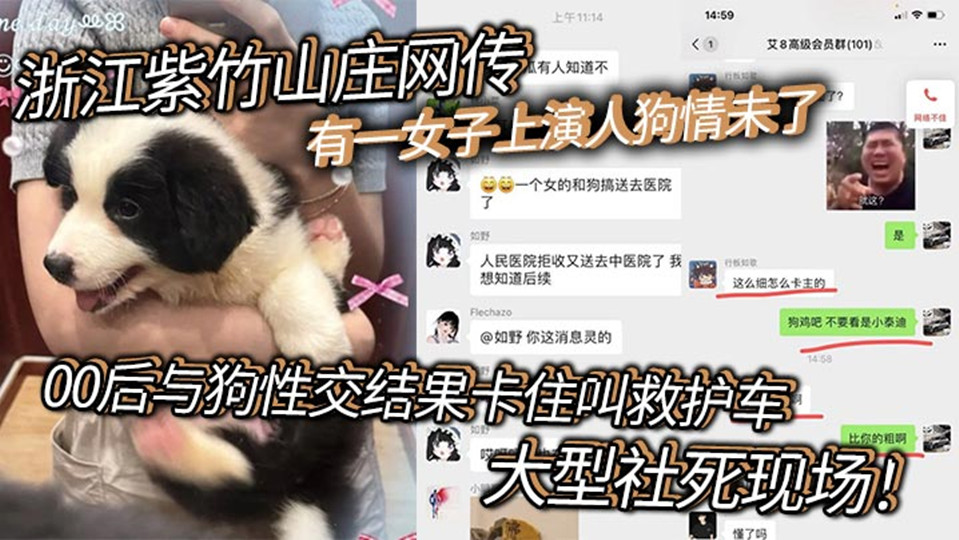 【老瓜新吃】浙江紫竹山庄网传有一女子上演人狗情未了！00后与狗性交结果卡住叫救护车，大型社死现场！